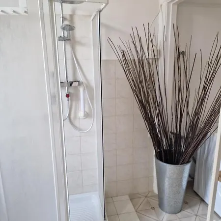 Frangi House بيسكارا