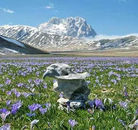 شقة Frangi House *