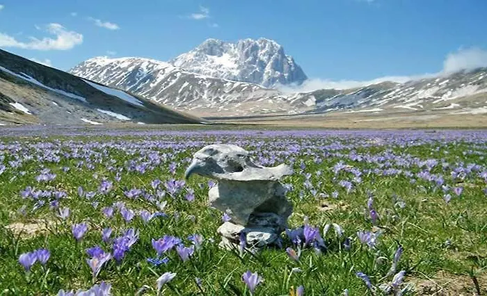 Διαμέρισμα Frangi House *